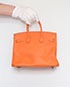Birkin 25 Swift Leather in Potiron, back view